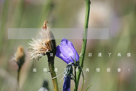 微粒貸逾期之后還了再借錢有影響嗎，微粒貸逾期還款后再借款會(huì)有影響嗎？